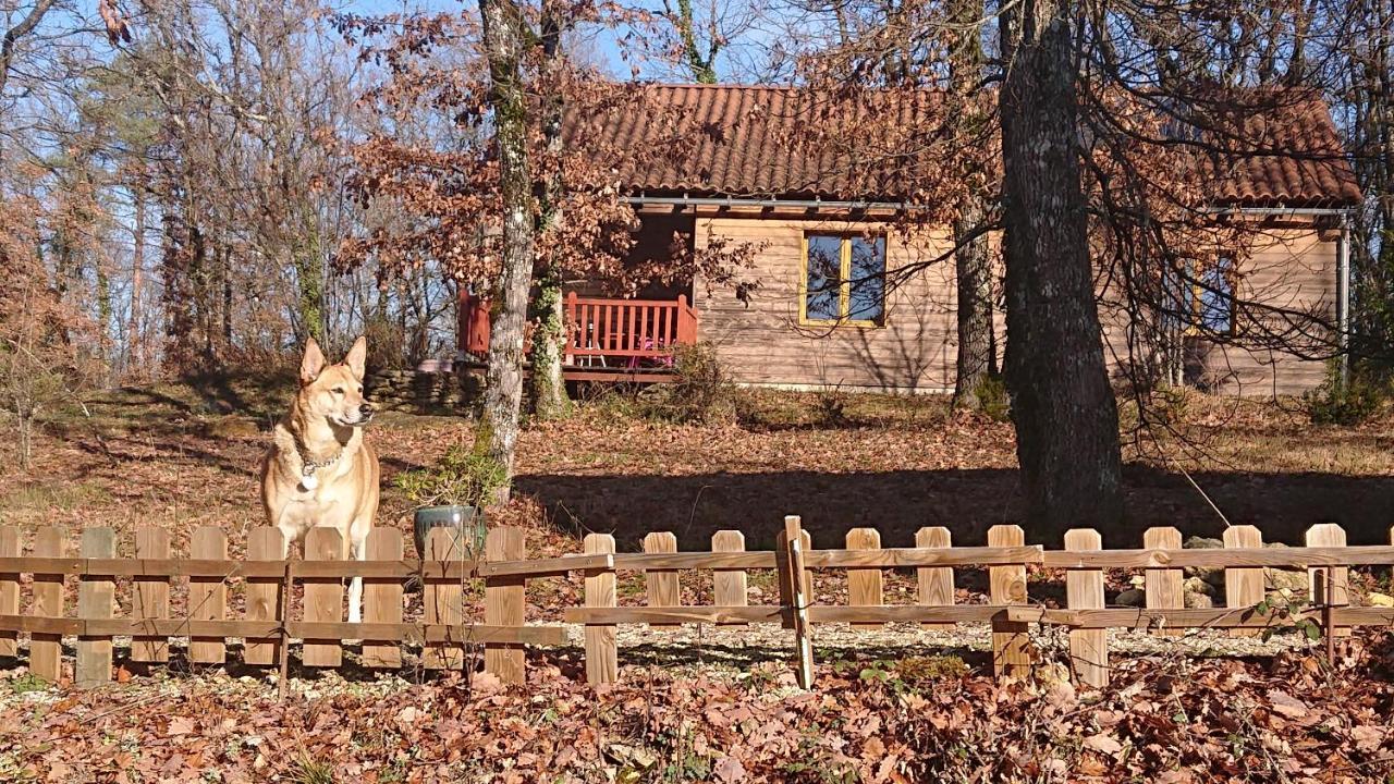 Le Village Enchanteur La Chapelle-Aubareil Екстериор снимка