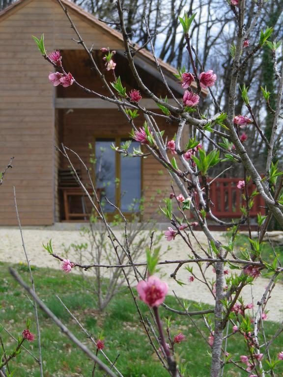Le Village Enchanteur La Chapelle-Aubareil Екстериор снимка