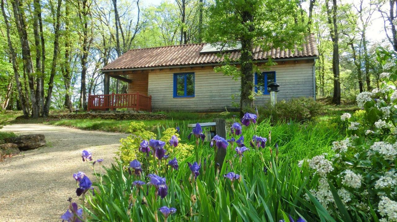 Le Village Enchanteur La Chapelle-Aubareil Екстериор снимка